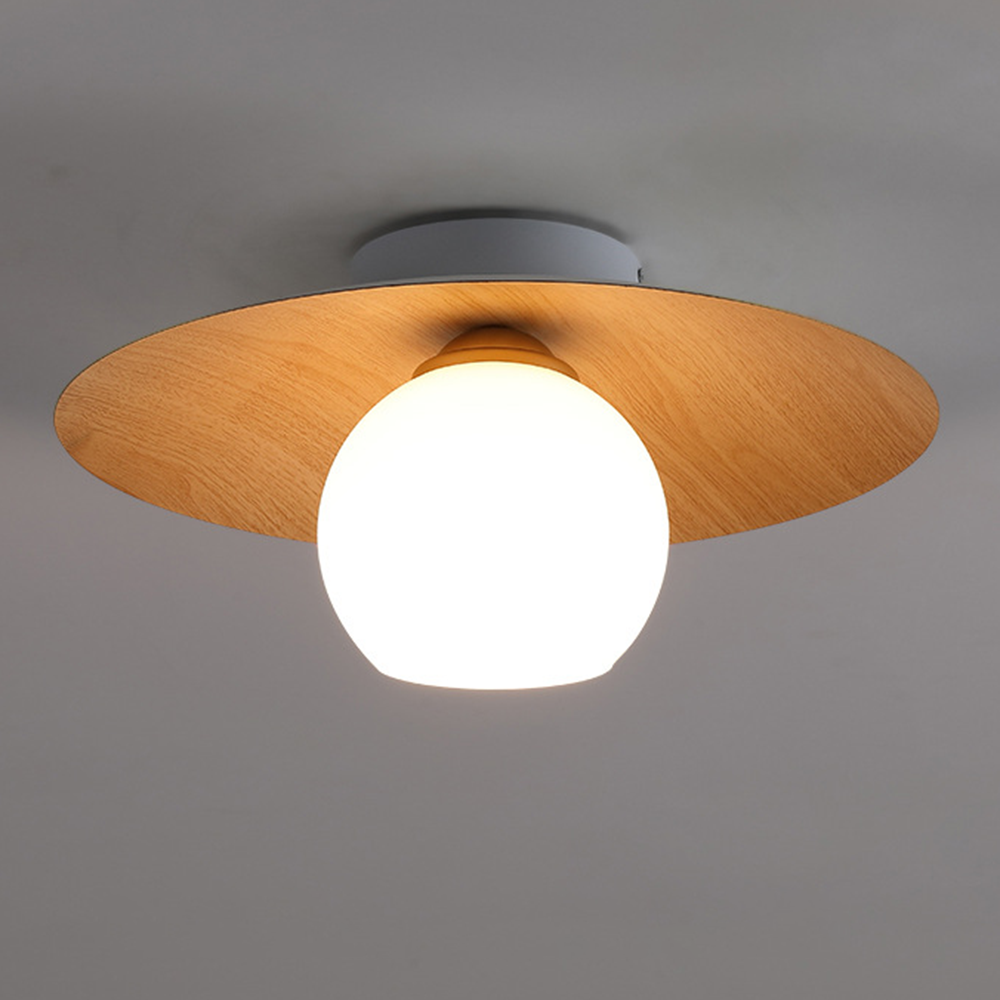 Entrance Ceiling Light