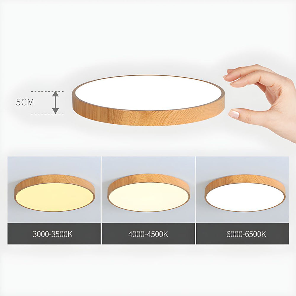 Iron Frame Ceiling Light