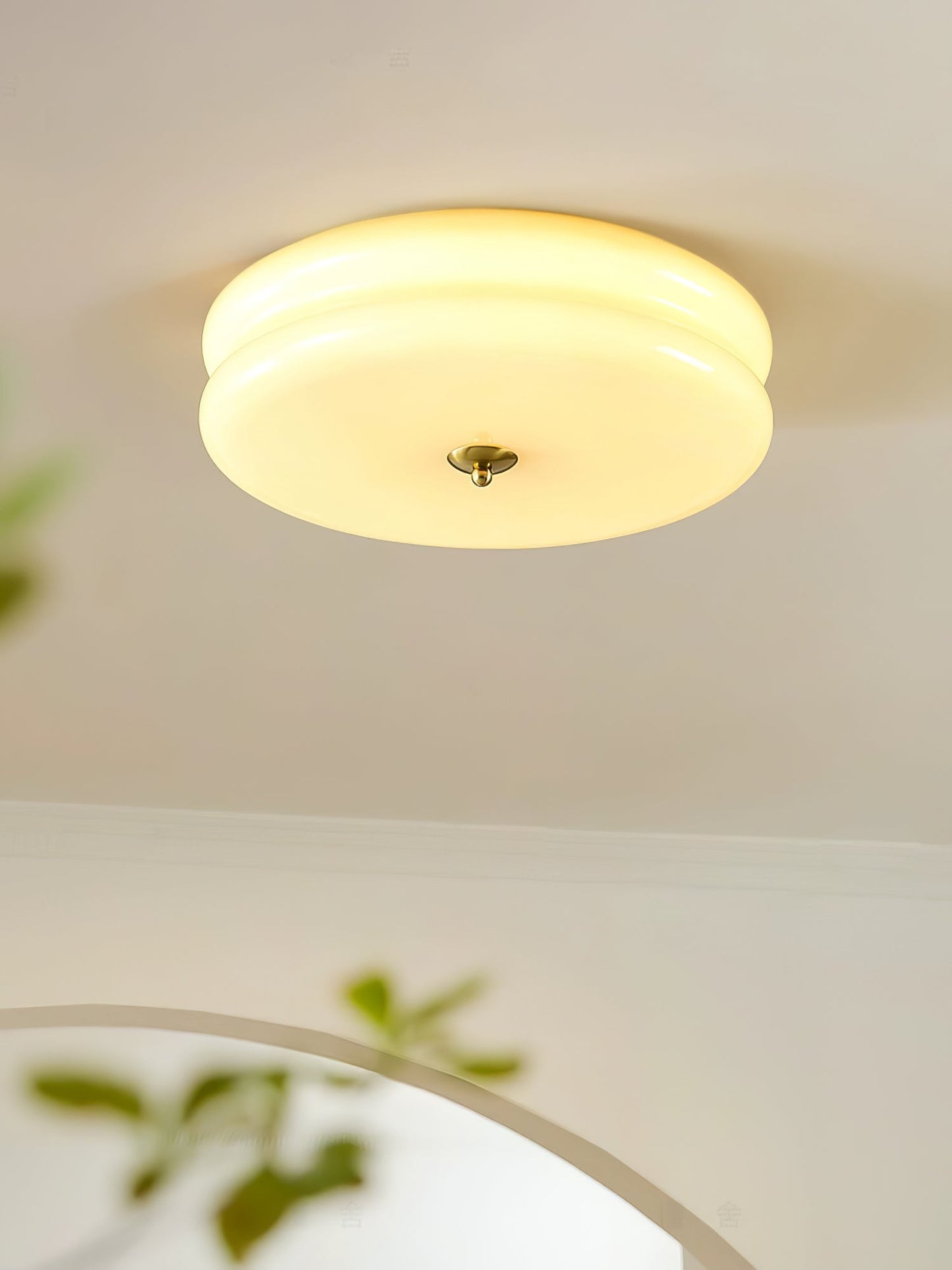 Vintage Ceiling LED Light