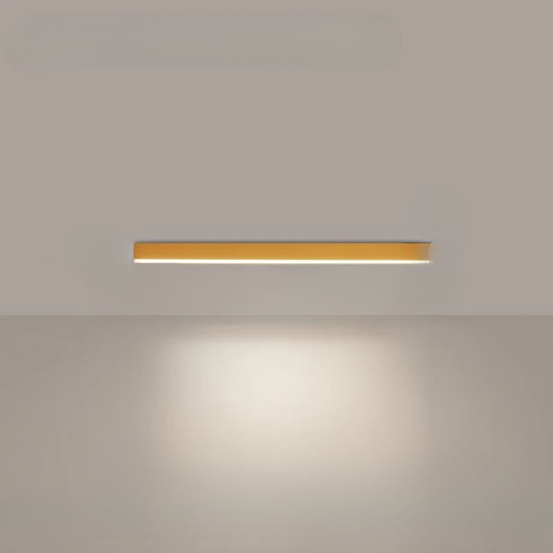 Stylish LED Ceiling Light