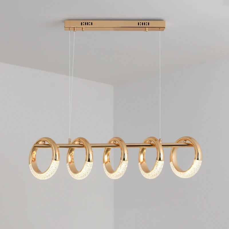 Designer Circle Pendant Lamp