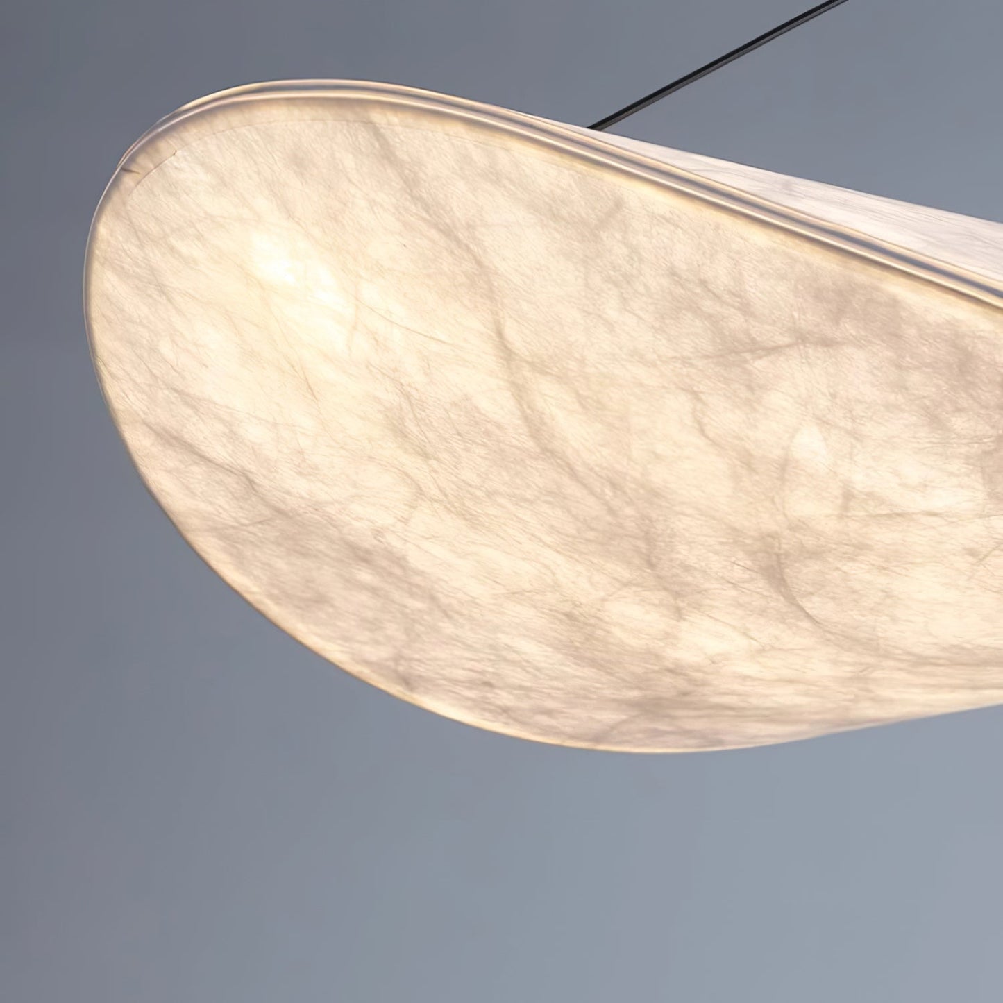 Modern Pendant Lamp with LED