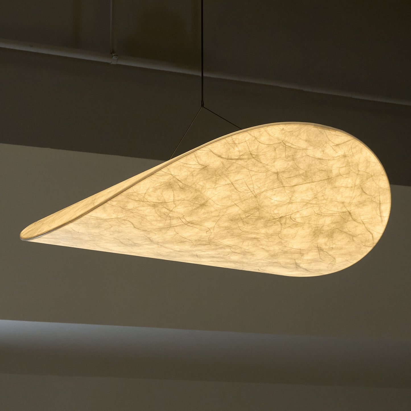 Modern Pendant Lamp with LED