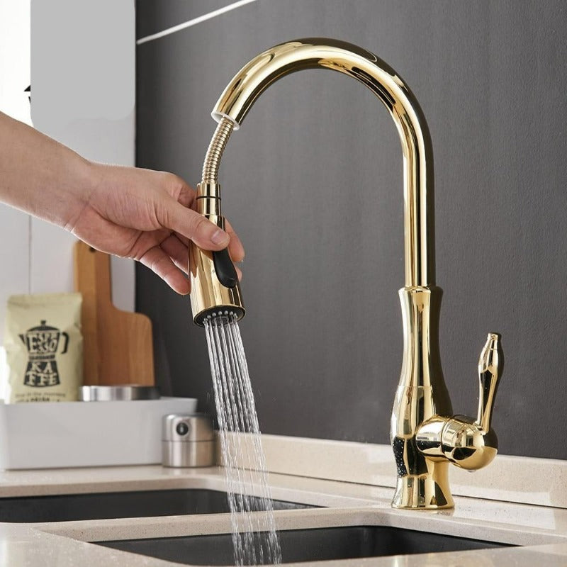 Modern Pull-out Kitchen Faucet