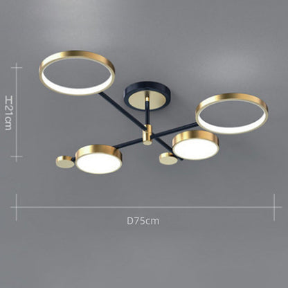 Contemporary Ringed Ceiling Light