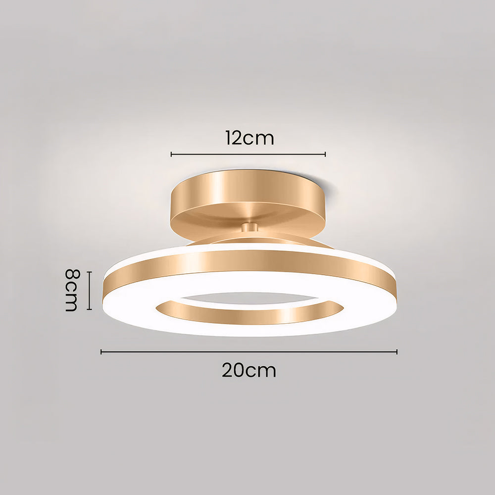 Modern LED Ceiling Lamp for the Hall
