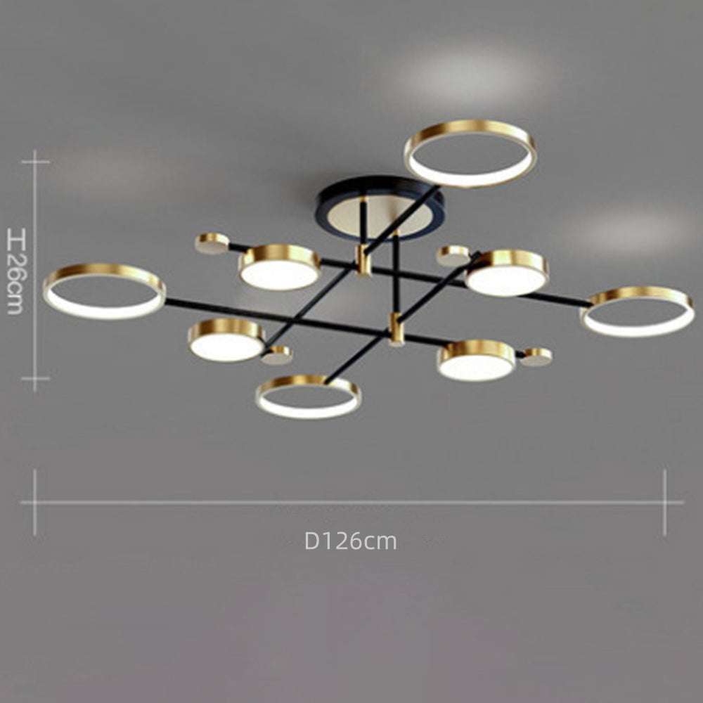 Contemporary Ringed Ceiling Light