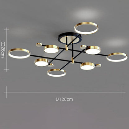 Contemporary Ringed Ceiling Light