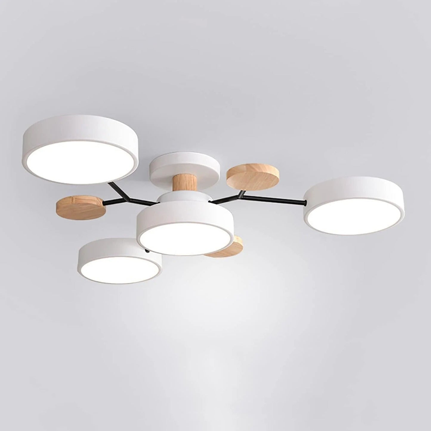 Modern Round LED Ceiling Chandelier