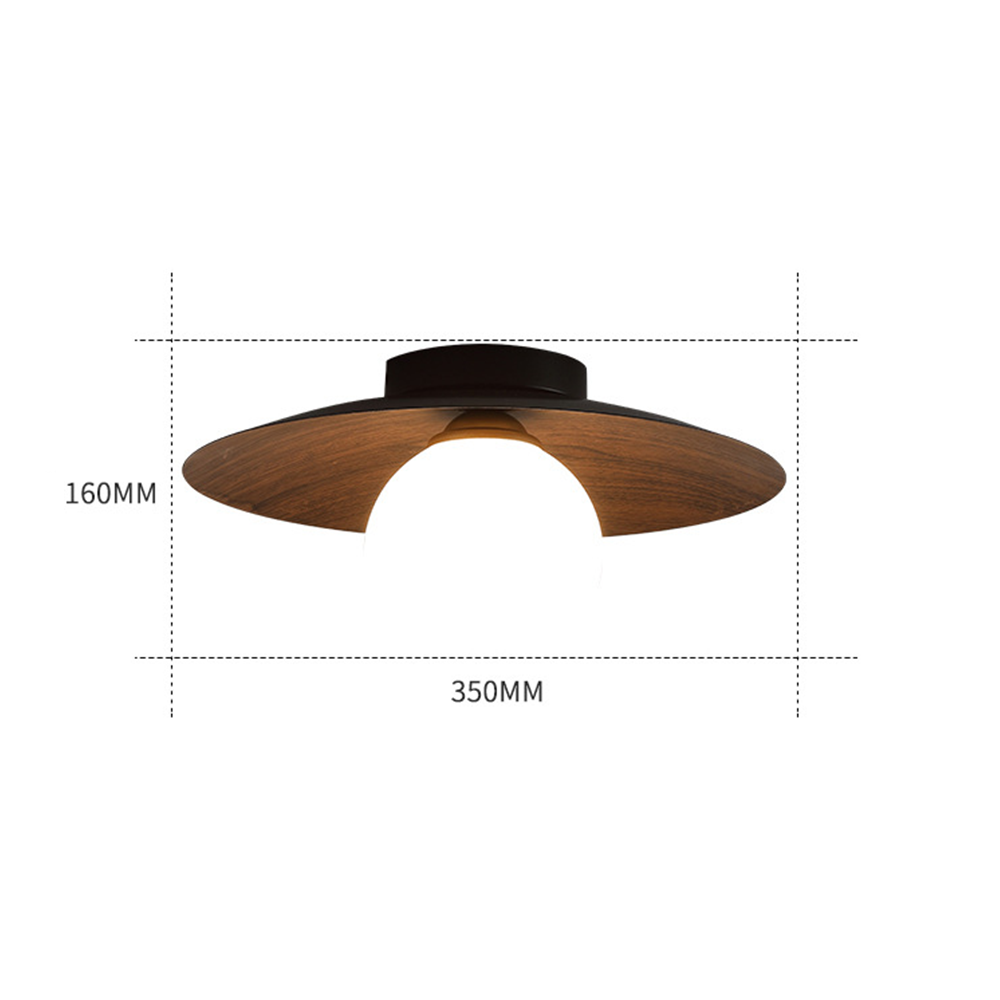 Entrance Ceiling Light