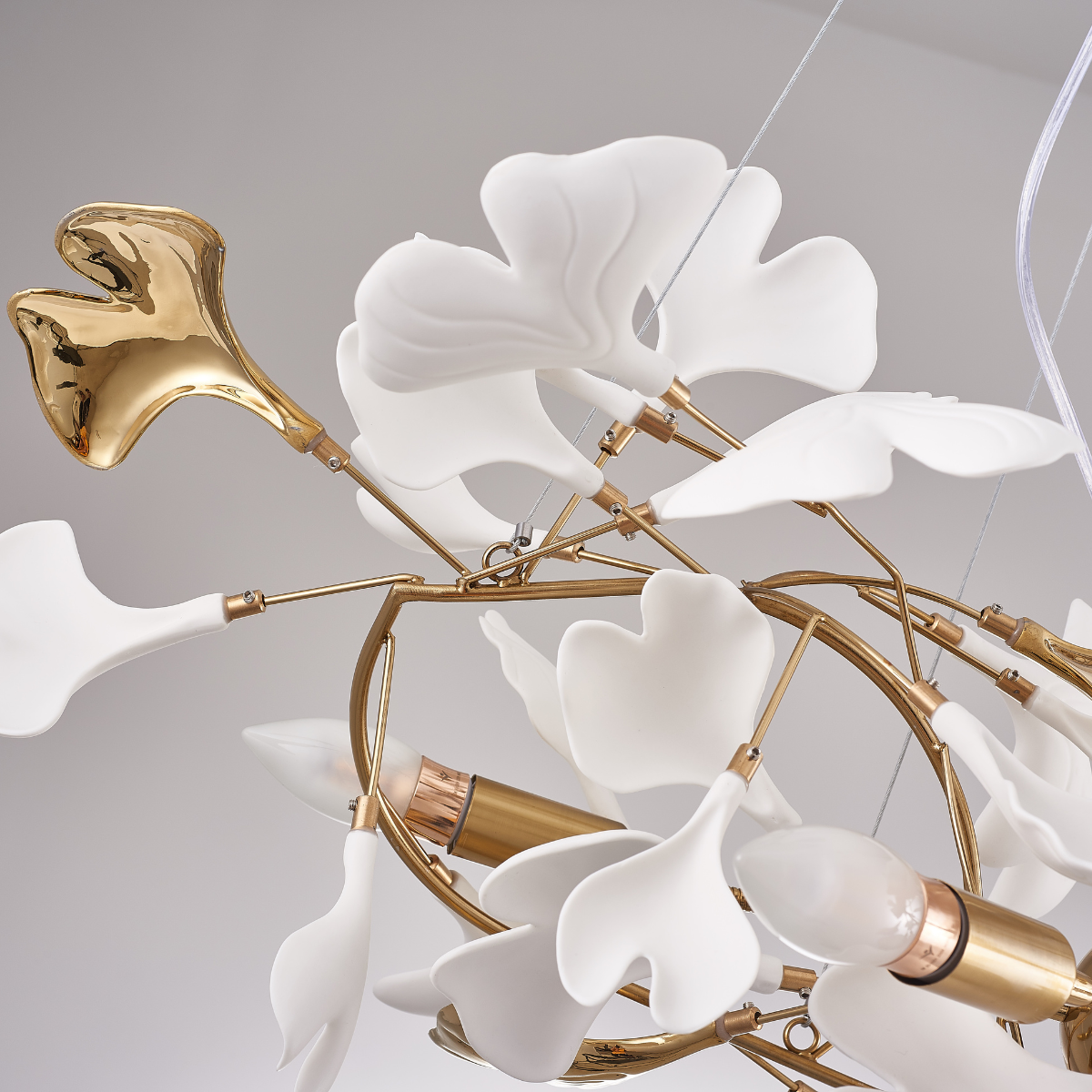 Ginkgo Design Pendant Lamp