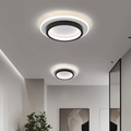 Round Metal & Acrylic Ceiling Light