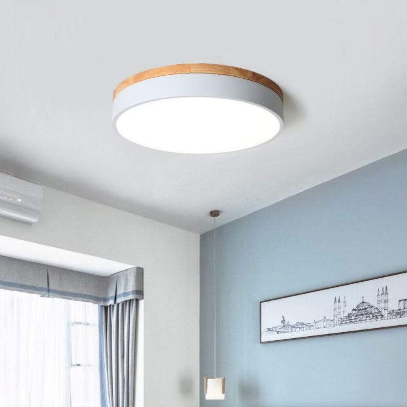 Morandi Ceiling Light