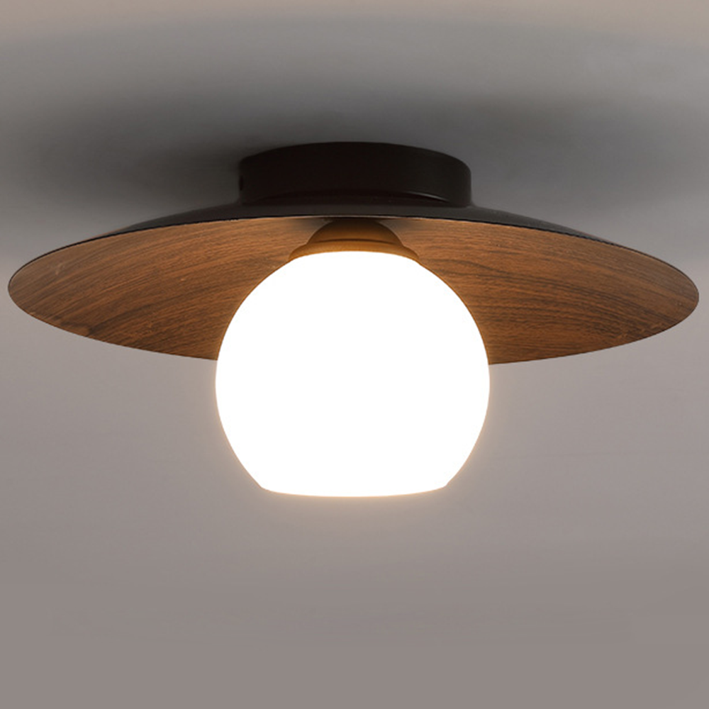 Entrance Ceiling Light