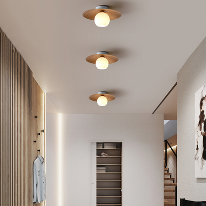 Entrance Ceiling Light