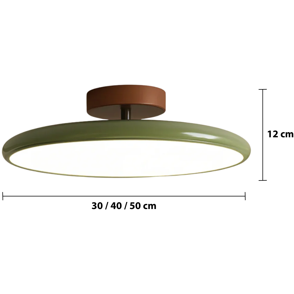 Adjustable Modern Ceiling Light