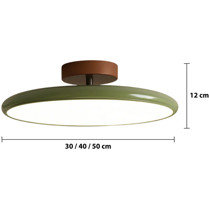 Adjustable Modern Ceiling Light