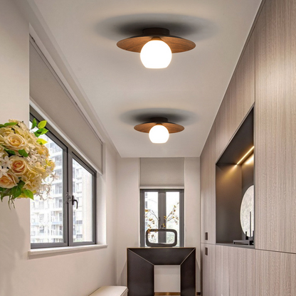 Entrance Ceiling Light