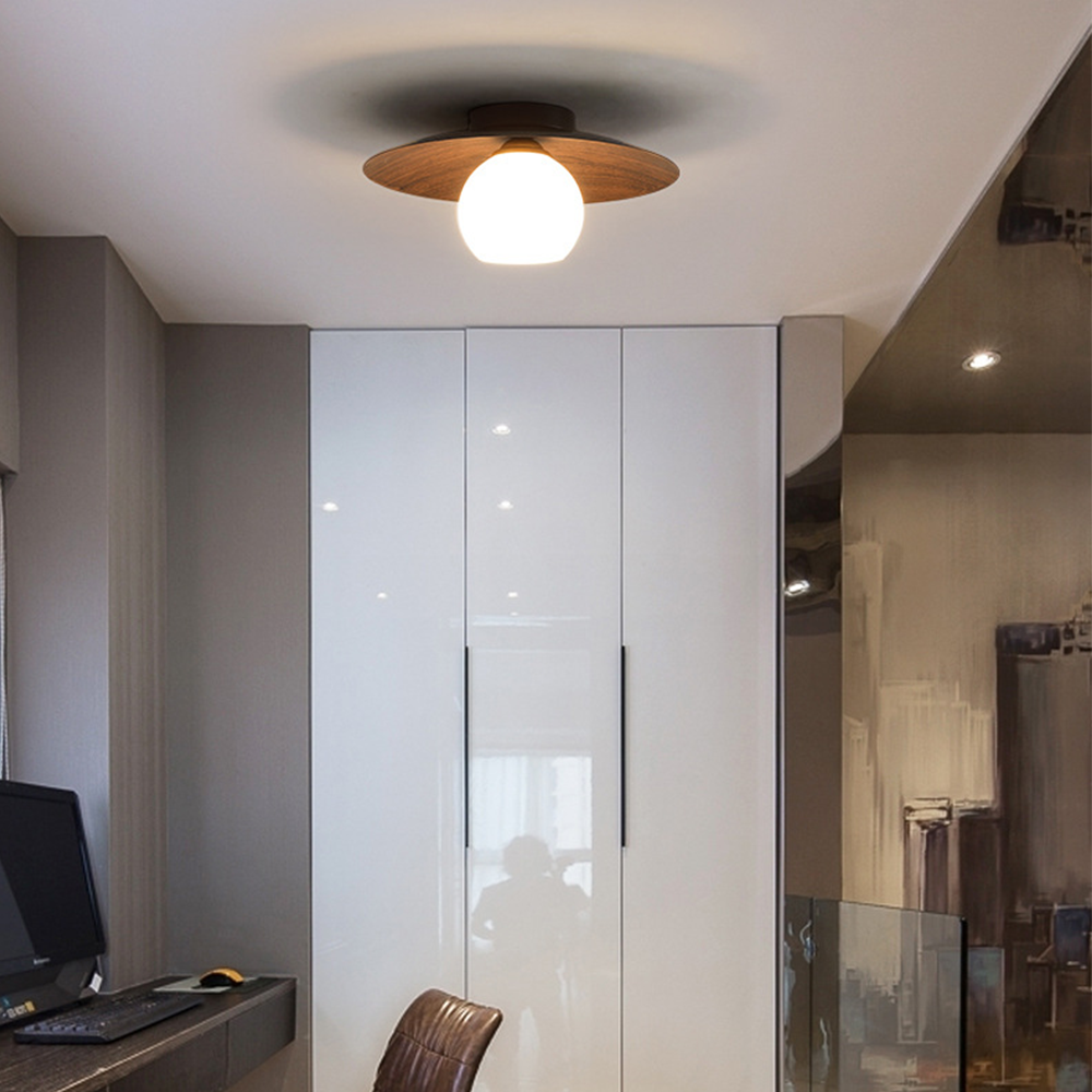Entrance Ceiling Light