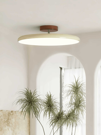 Adjustable ceiling lighting