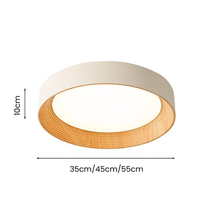 Slim LED Ceiling Light