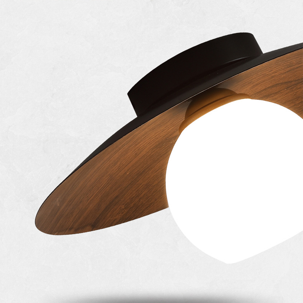 Entrance Ceiling Light