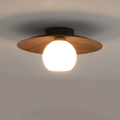 Entrance Ceiling Light