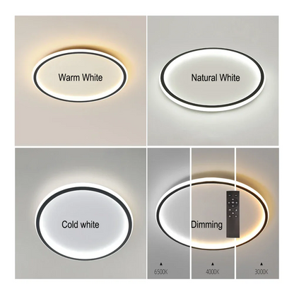 Contemporary Disc Ceiling Lamp