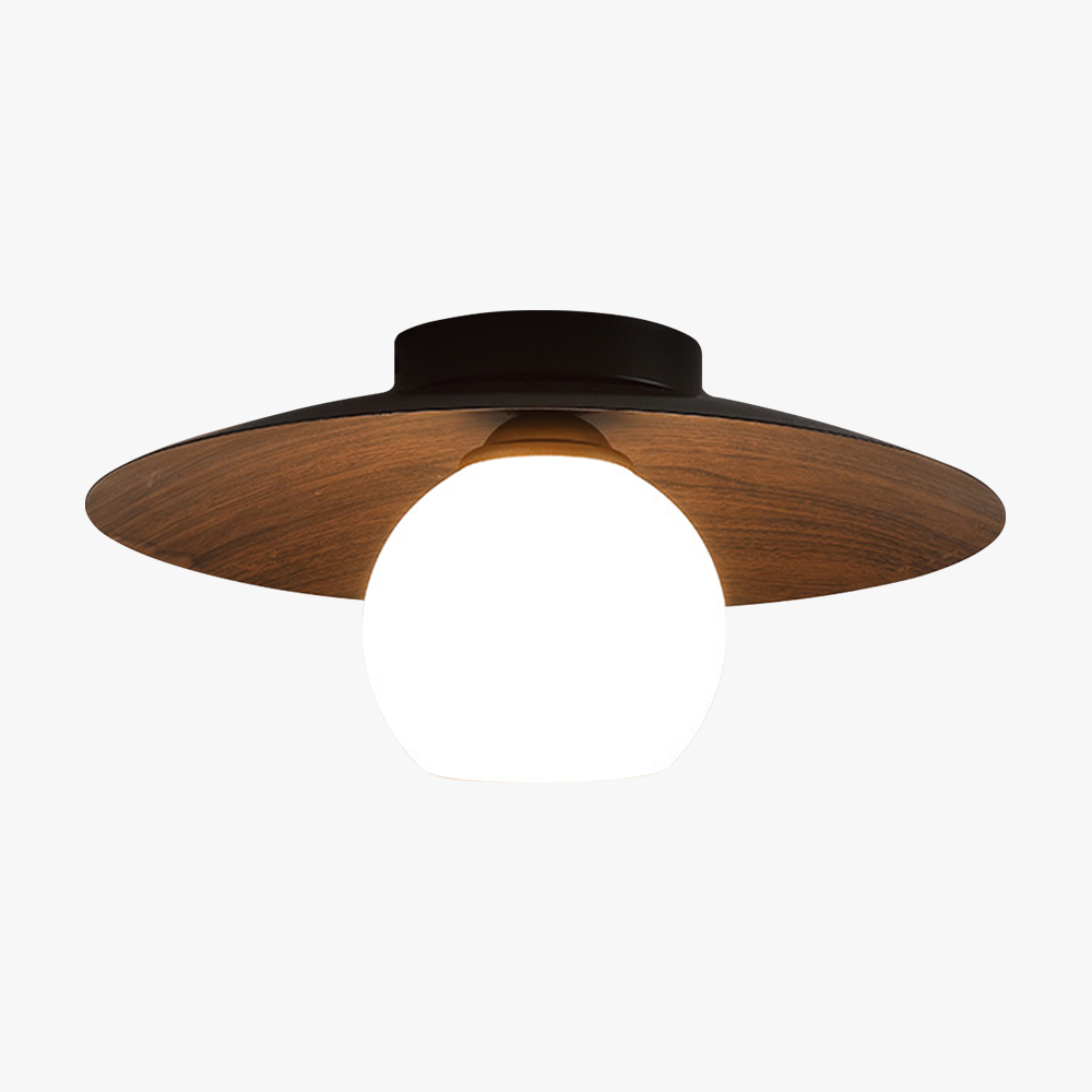 Entrance Ceiling Light