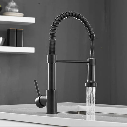 Modern Kitchen Faucet with Pull-Down Spring Sprayer