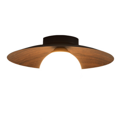 Entrance Ceiling Light