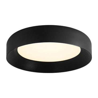 Modern Metal Ceiling Fixture