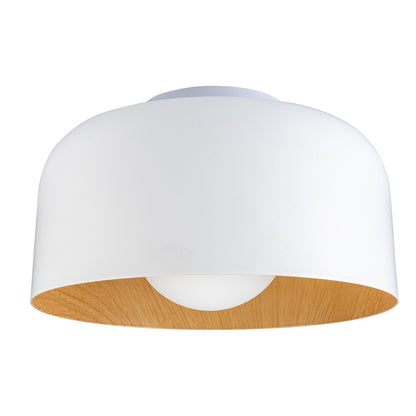 Sleek Metal Dome Light