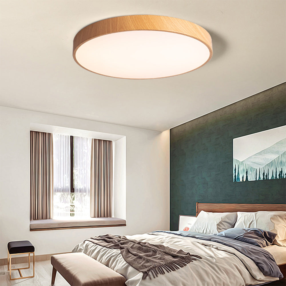 Iron Frame Ceiling Light