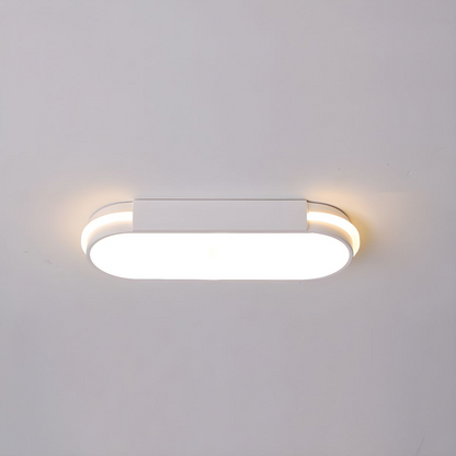 Acrylic Flush Ceiling Luminaire