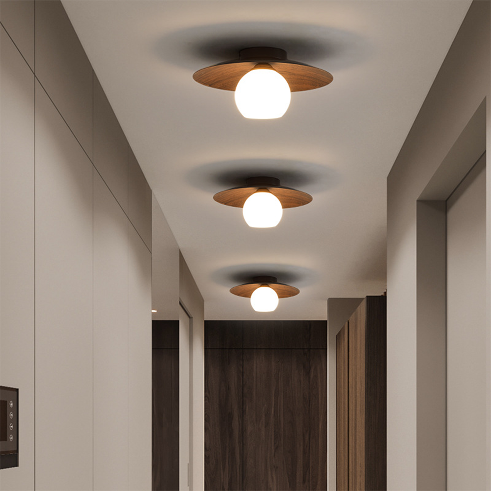 Entrance Ceiling Light