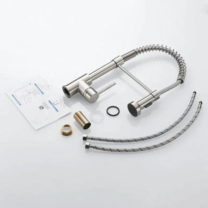 Modern Kitchen Faucet with Pull-Down Spring Sprayer