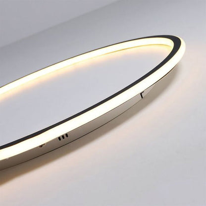 Contemporary Disc Ceiling Lamp