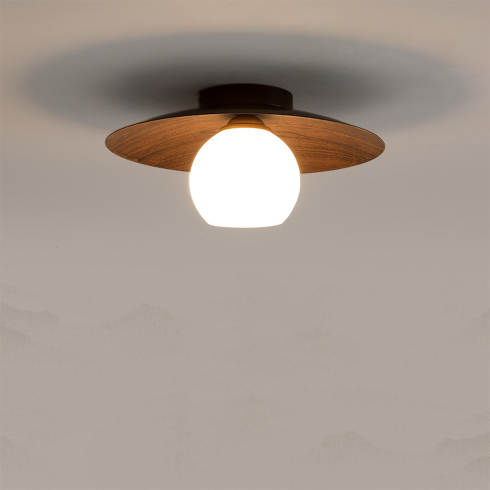 Entrance Ceiling Light