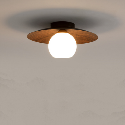 Entrance Ceiling Light