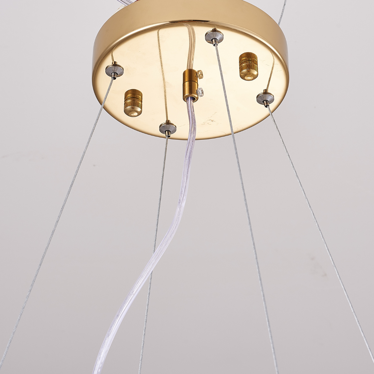 Ginkgo Design Pendant Lamp