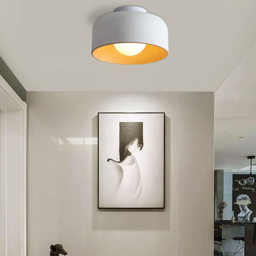 Sleek Metal Dome Light