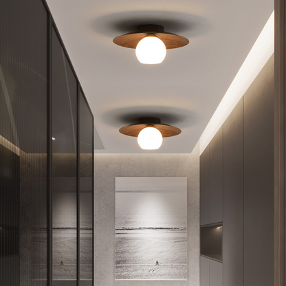 Entrance Ceiling Light