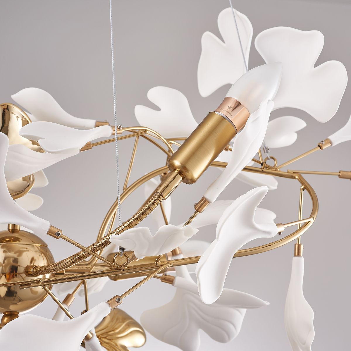 Ginkgo Design Pendant Lamp