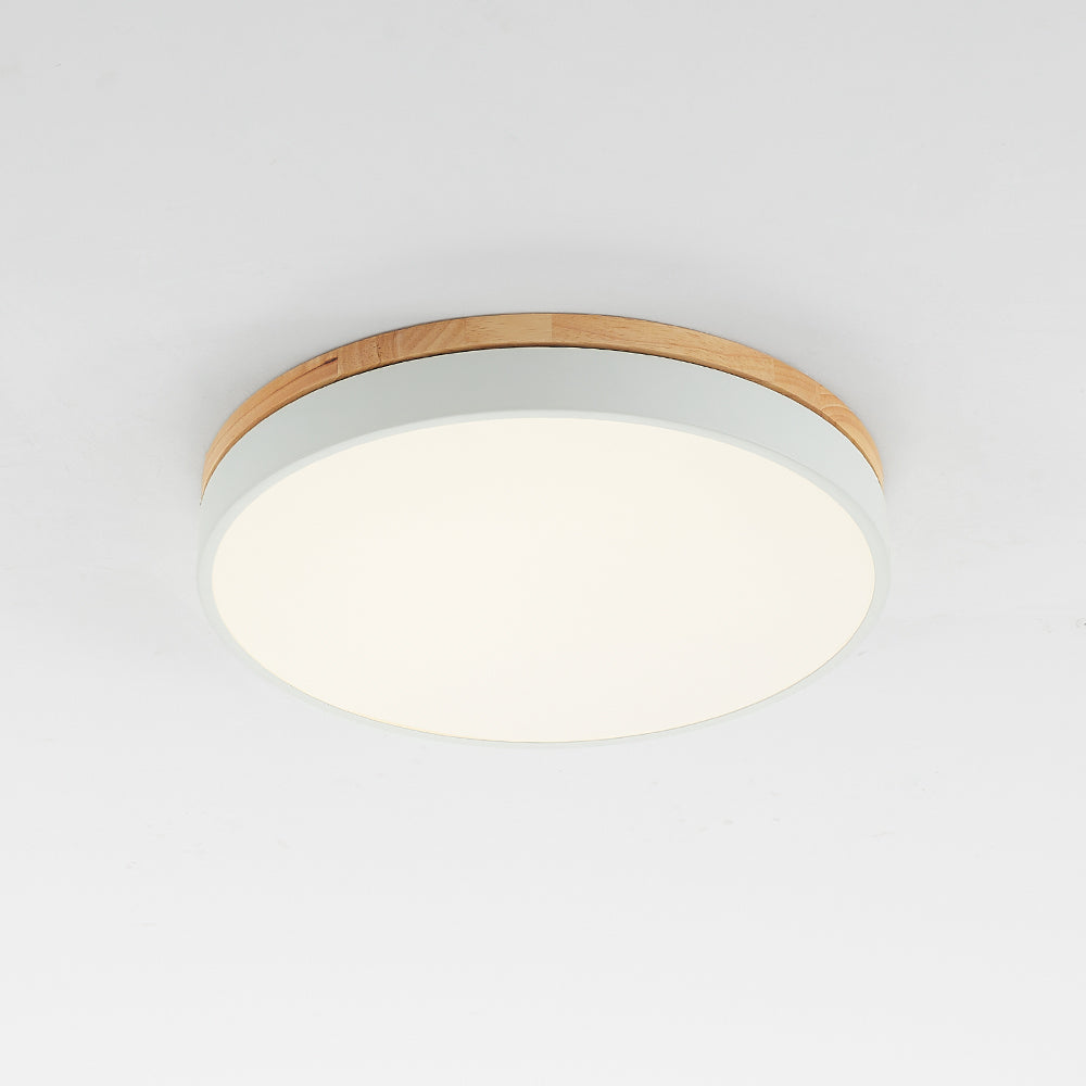 Morandi Ceiling Light