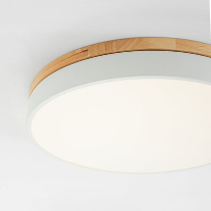Morandi Ceiling Light