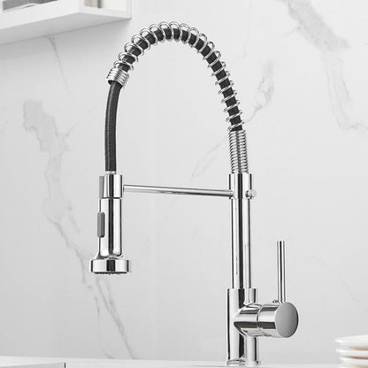 Modern Kitchen Faucet with Pull-Down Spring Sprayer