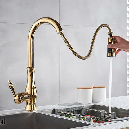 Luxurious Kitchen Faucet with Pull-Out Spray Head