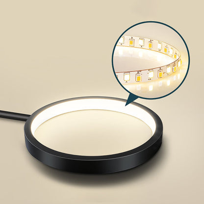 Contemporary Ringed Ceiling Light