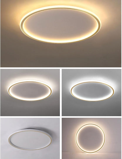 Contemporary Disc Ceiling Lamp